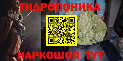 стаф Будённовск