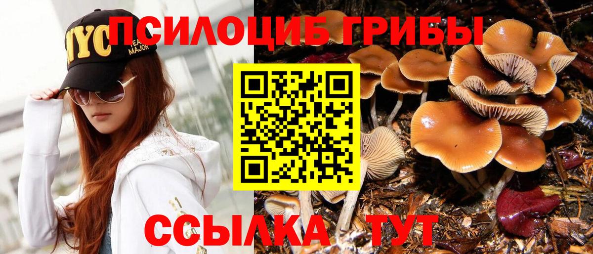 Россошь  Псилоцибиновые грибы мицелий  Вход с VPN  Галлюциногенные грибы Cubensis 